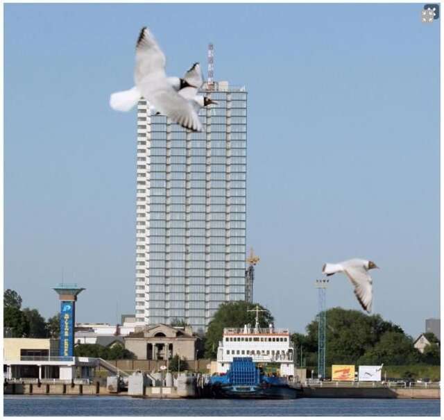 Апартаменты Sea View Gandrališkės Apartment Клайпеда-30